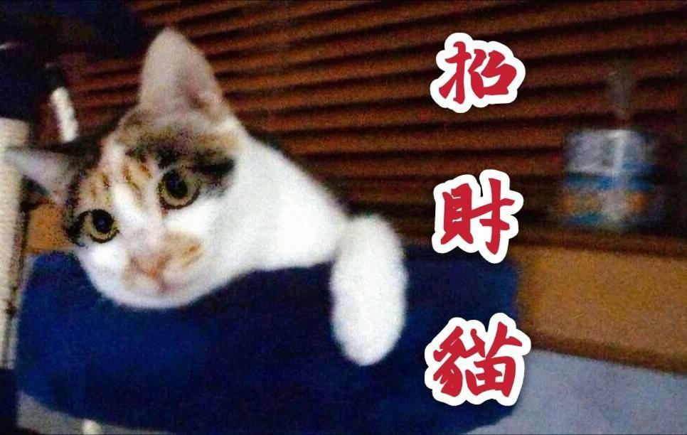 My Story Inn Jiufen Εξωτερικό φωτογραφία